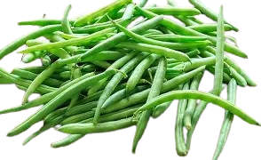 Fresh Carrot