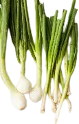 Fresh Carrot