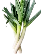 Fresh Carrot
