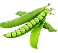 Fresh Carrot