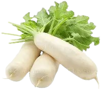 Fresh Carrot