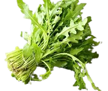 Fresh Carrot