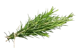 Fresh Carrot