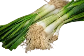 Fresh Carrot