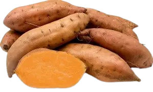 Fresh Carrot