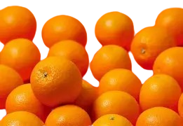 Fresh Carrot