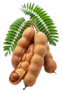 Fresh Carrot