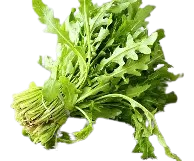Fresh Carrot