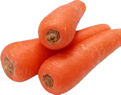 Fresh Carrot